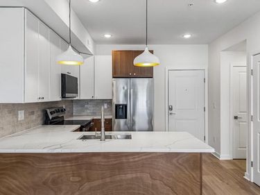 921 E CHELTEN AVENUE, Unit 204, PHILADELPHIA, PA 19138