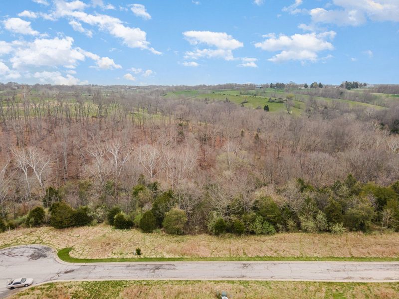Lot 29 Saddlebrook Lane, Dry Ridge, KY 41035 Photo 10