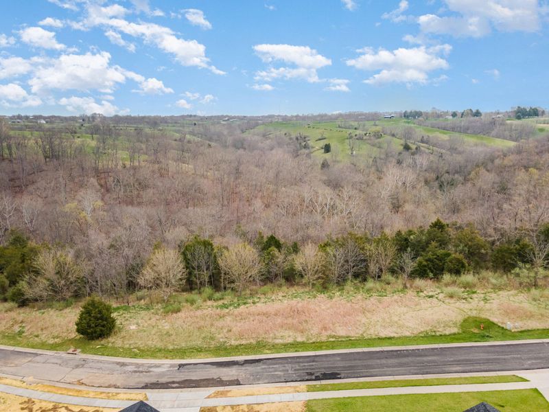 Lot 29 Saddlebrook Lane, Dry Ridge, KY 41035 Photo 13