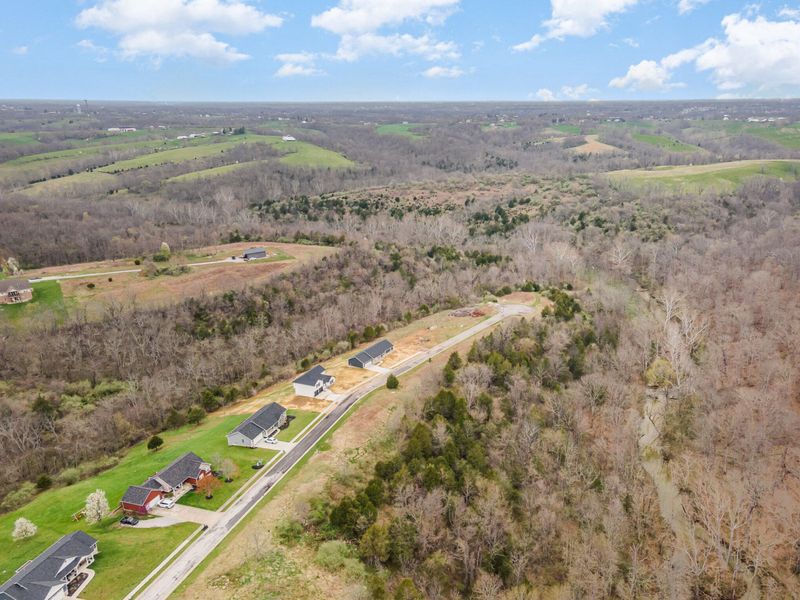 Lot 29 Saddlebrook Lane, Dry Ridge, KY 41035 Photo 6
