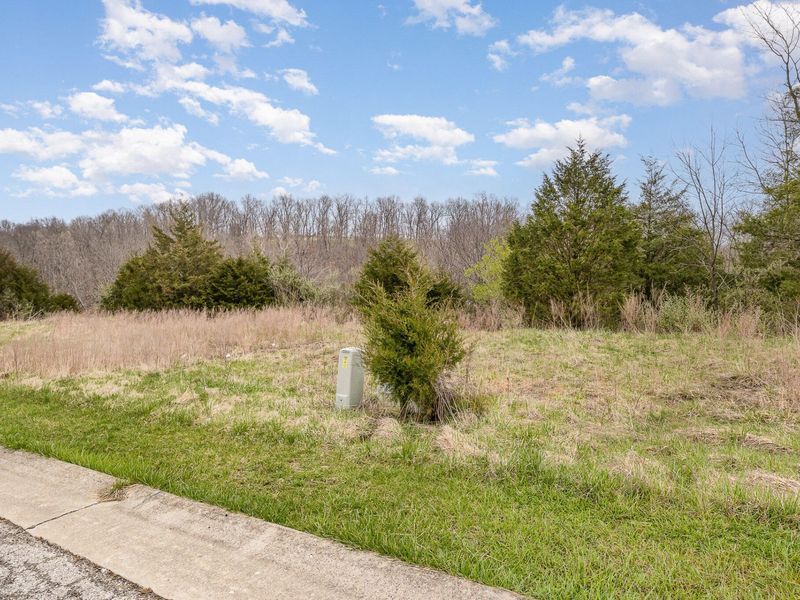 Lot 30 Saddlebrook Lane, Dry Ridge, KY 41035 Photo 11