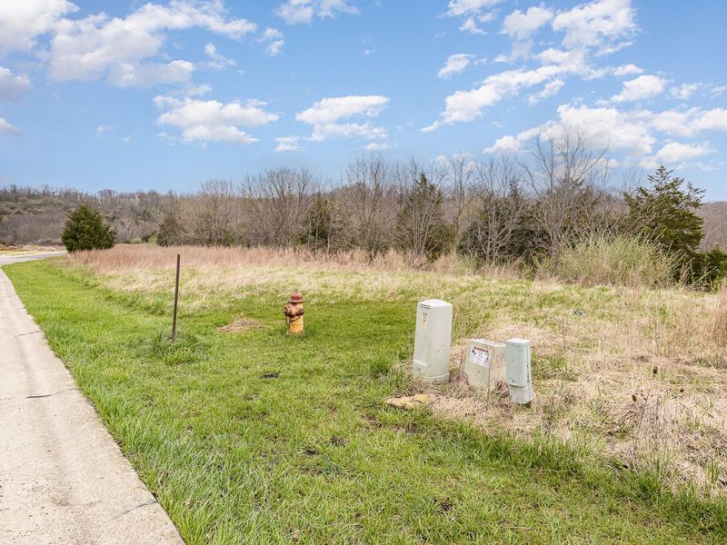 Lot 30 Saddlebrook Lane, Dry Ridge, KY 41035 Photo 2