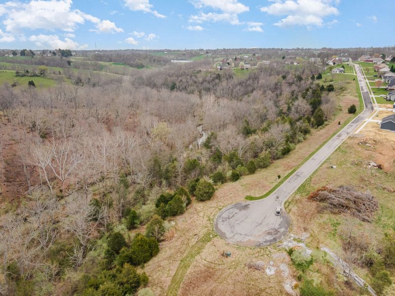 Lot 30 Saddlebrook Lane, Dry Ridge, KY 41035 Photo 8