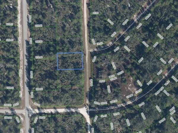 3292 Gossamer Avenue , Lake Placid, FL 33852