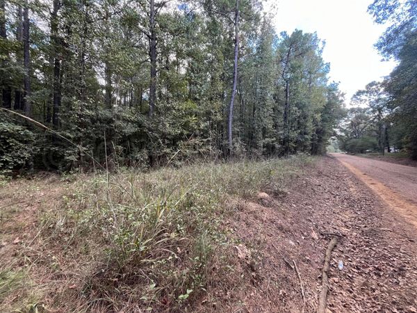 Longview-Adaton Road, Starkville, MS 39759