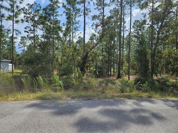 TBD NW TAMARIND LANE, DUNNELLON, FL 34431