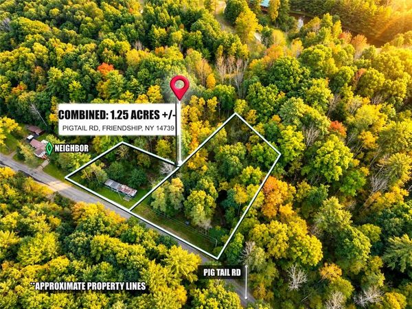 5275 and 5283 Pigtail Rd Road, Friendship, NY 14739