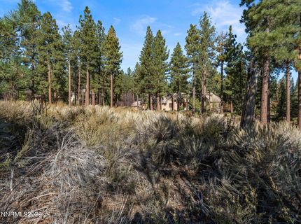 6045 Lake Geneva Drive, Reno, NV 89511 Photo
