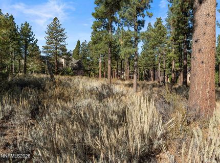 6045 Lake Geneva Drive, Reno, NV 89511 Photo