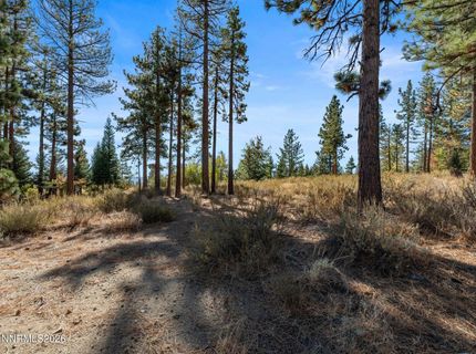 6045 Lake Geneva Drive, Reno, NV 89511 Photo