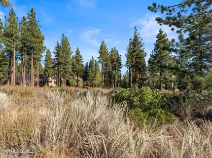 6045 Lake Geneva Drive, Reno, NV 89511 Photo