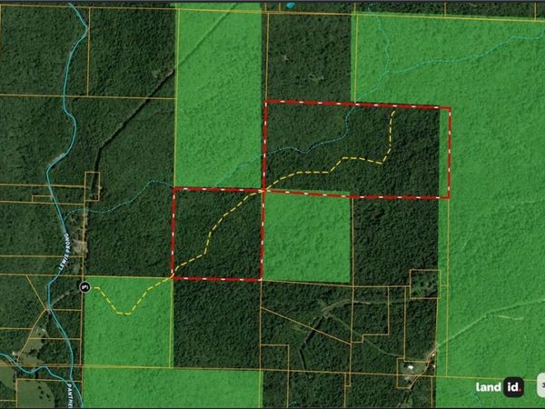 000 Panther Creek Road , Oark, AR 72854