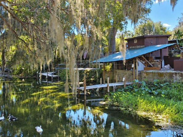 766 CR 485A , LAKE PANASOFFKEE, FL 33538