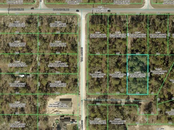 13031 GOLIATH COURT , WEEKI WACHEE, FL 34614