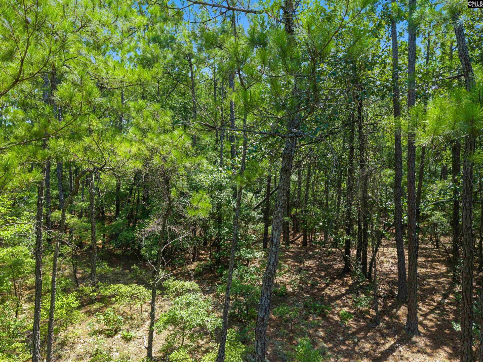 901 Saint Paul Lane  Photo 4