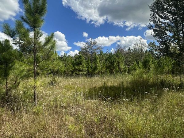 N Sr 71 , Altha, FL 32421