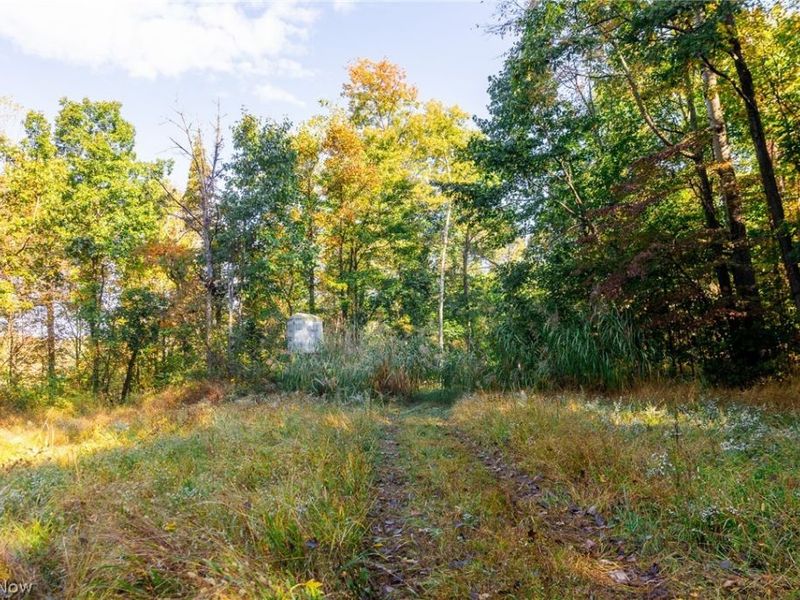 6985 Brush Run Road, Cambridge, OH 43725 Photo 12