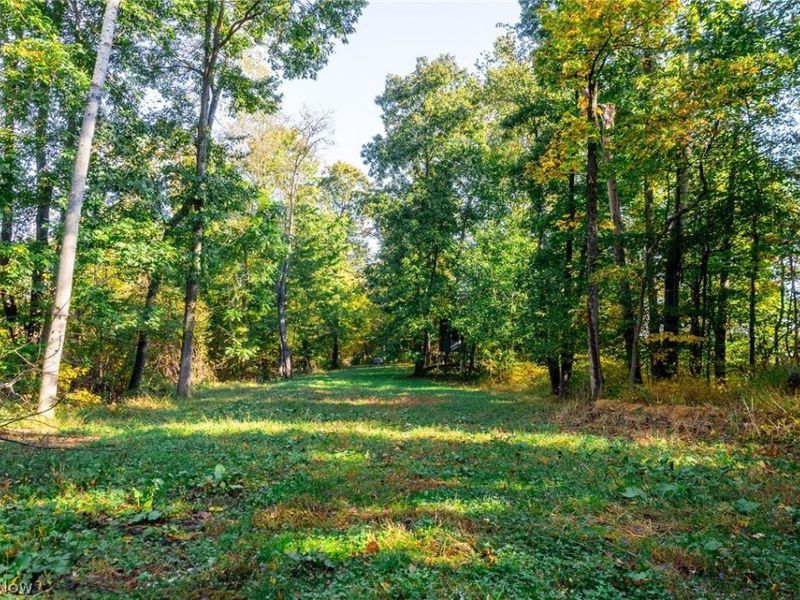 6985 Brush Run Road, Cambridge, OH 43725 Photo 15