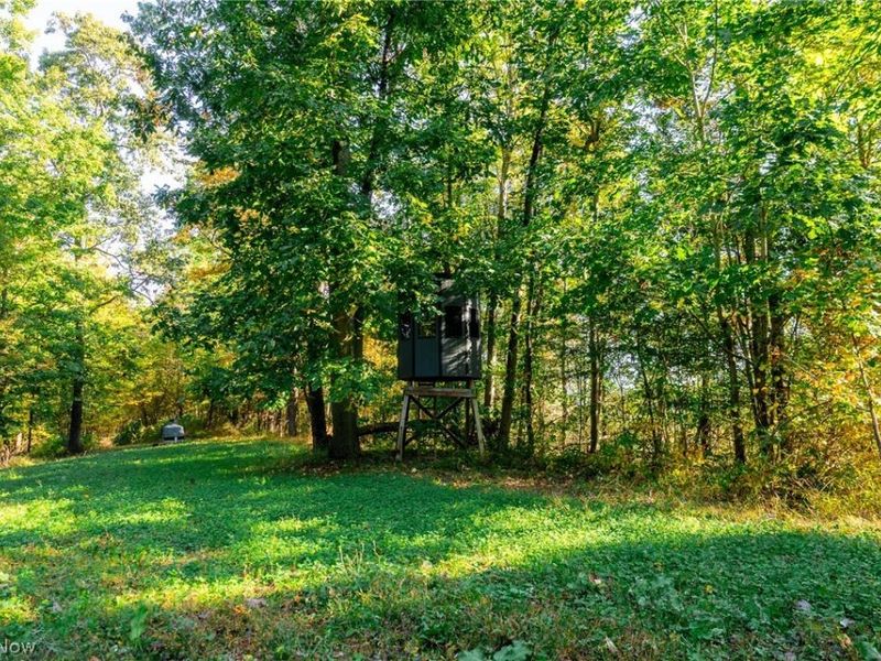6985 Brush Run Road, Cambridge, OH 43725 Photo 16
