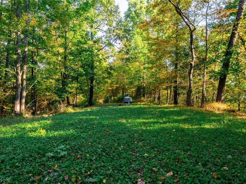 6985 Brush Run Road, Cambridge, OH 43725 Photo 17
