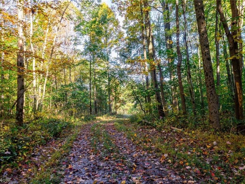 6985 Brush Run Road, Cambridge, OH 43725 Photo 3