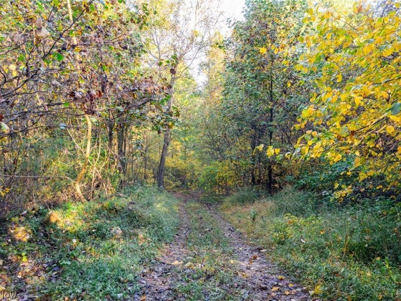 6985 Brush Run Road, Cambridge, OH 43725 Photo 37
