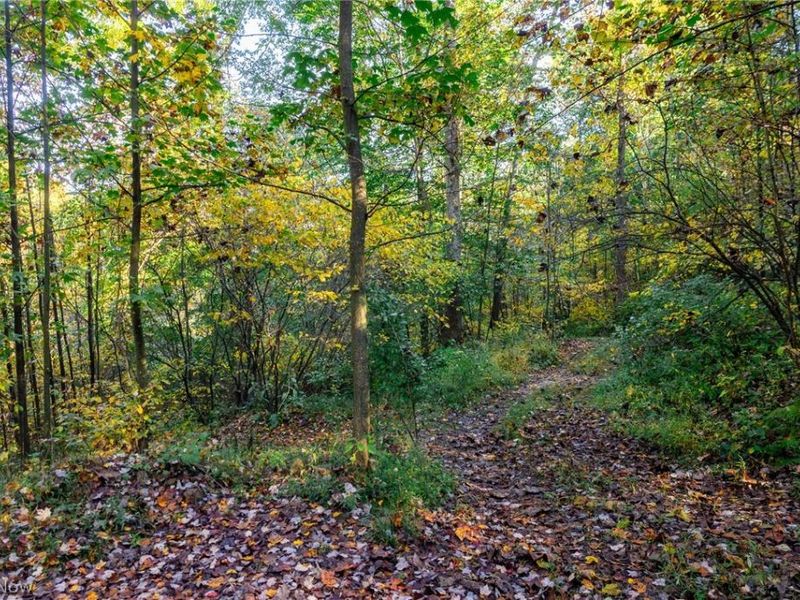 6985 Brush Run Road, Cambridge, OH 43725 Photo 39