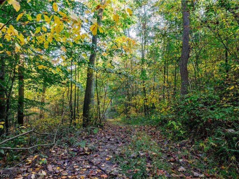 6985 Brush Run Road, Cambridge, OH 43725 Photo 40