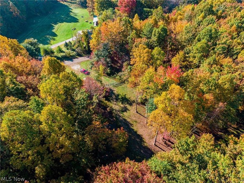 6985 Brush Run Road, Cambridge, OH 43725 Photo 50