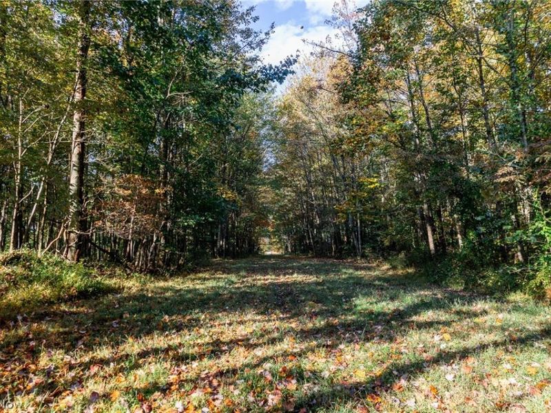 6985 Brush Run Road, Cambridge, OH 43725 Photo 7