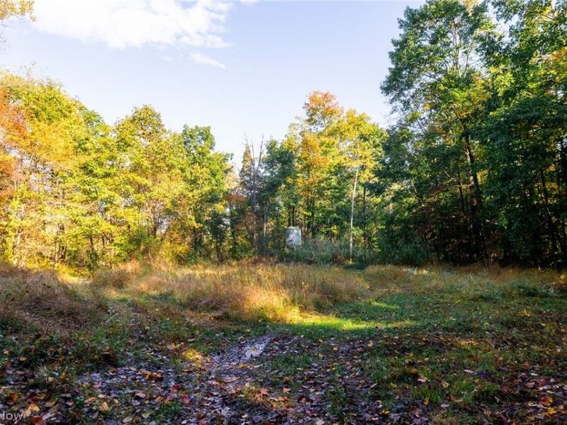 6985 Brush Run Road, Cambridge, OH 43725 Photo 9