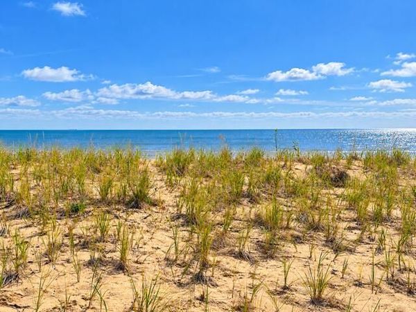 5.34 ac Turnbull Mill Road, Alpena, MI 49707