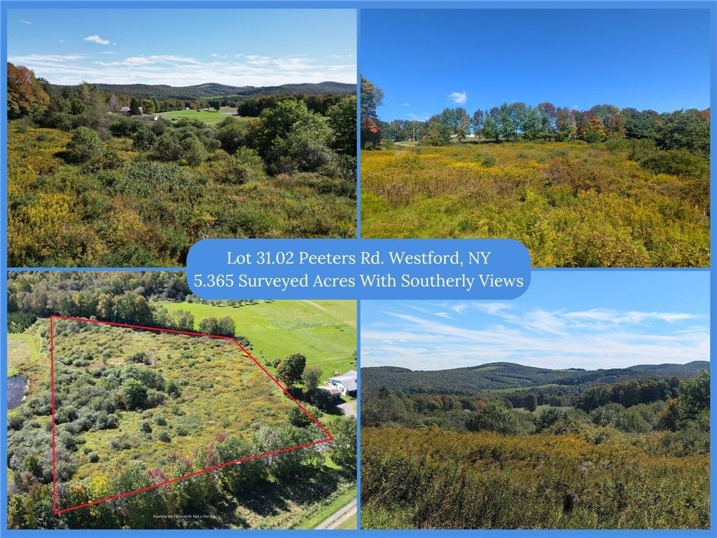 Lot 31.02 Peeters Road , Schenevus, NY 12155 Main Photo
