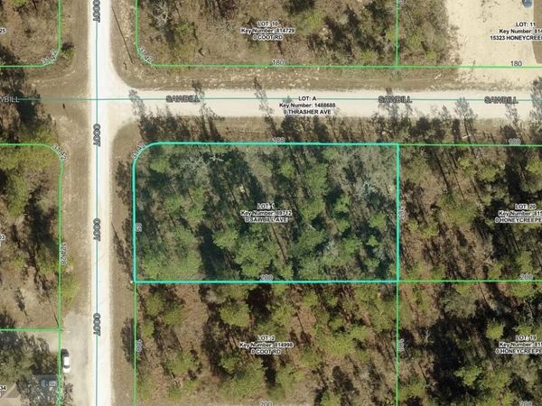 15302 SAWBILL AVENUE , WEEKI WACHEE, FL 34614