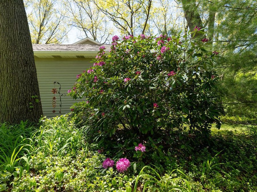 Property Image 49