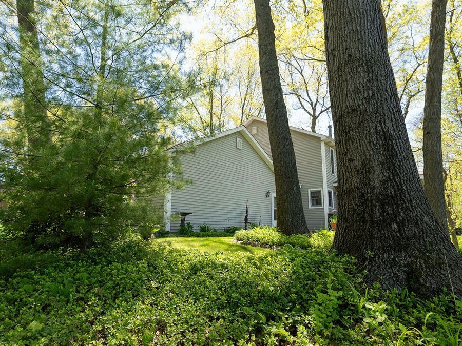 Property Image 50