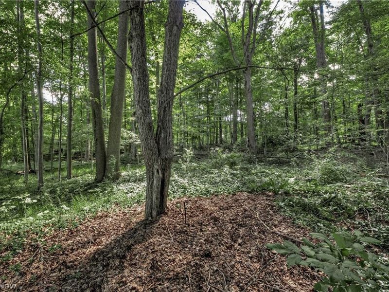 15879 Hemlock Road, Chagrin Falls, OH 44022 Photo 34