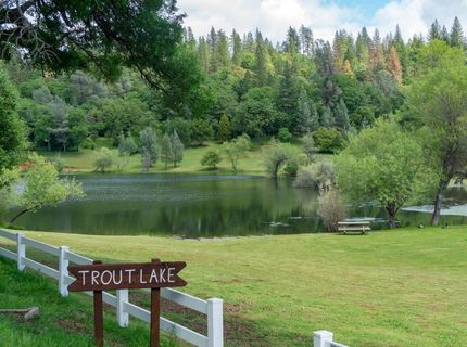 6730 Claim St, Placerville, CA 95667 Photo