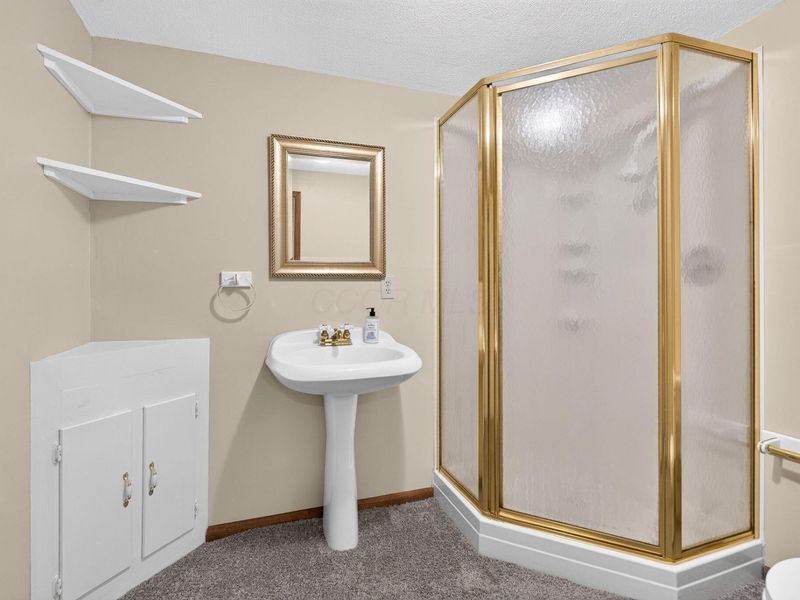 485 Brandy Hill Avenue, Pickerington, OH 43147 Photo 45