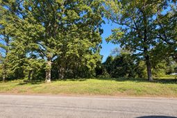 113 Duke Avenue  photo 4