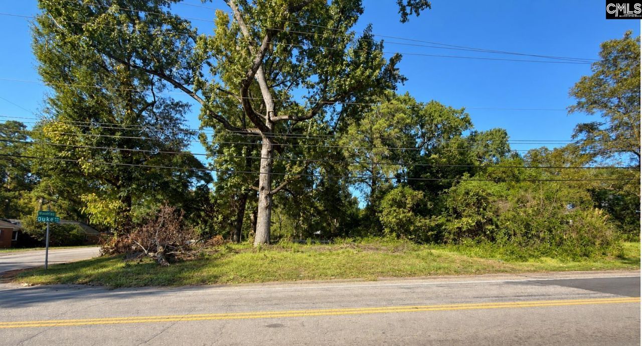 113 Duke Avenue  Photo 4