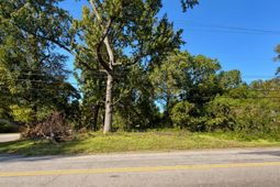 113 Duke Avenue  photo 4