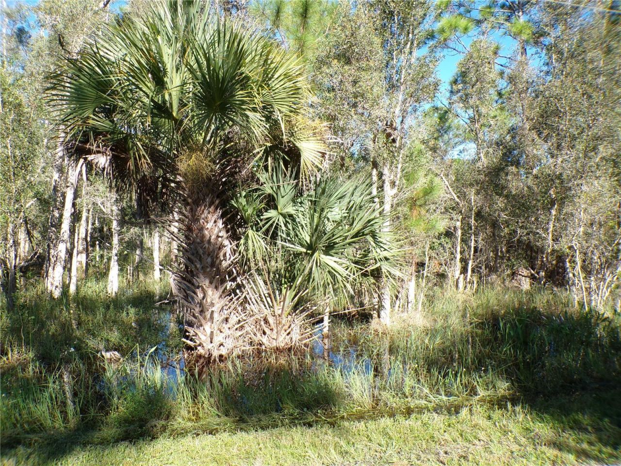 12219 Ripple Drive, Punta Gorda, FL 33955 Photo