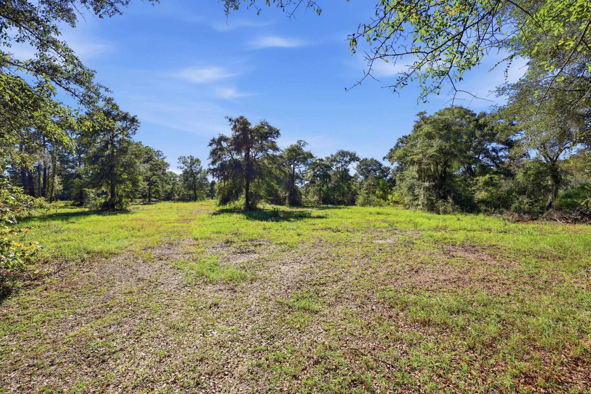 Tbd Reds Landing Rd.  Photo 4