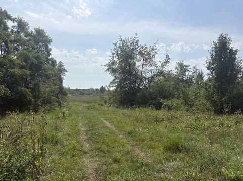 Main Photo