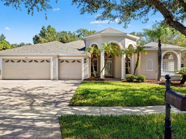 17353 EMERALD CHASE DRIVE , TAMPA, FL 33647