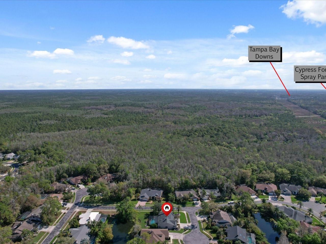10 Windrush Court, Oldsmar, FL 34677 Photo