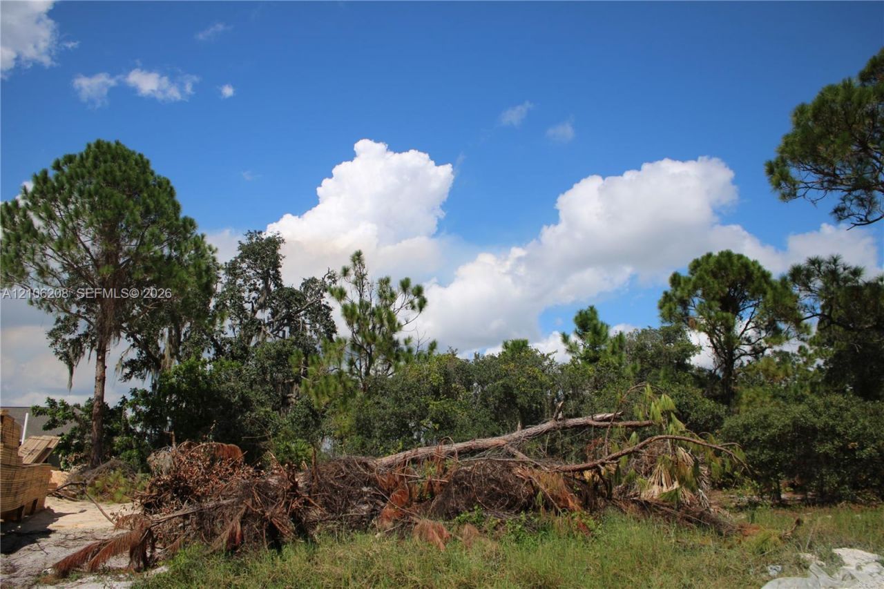 339 Ellison Ave , Lake Placid, FL 33852 Photo