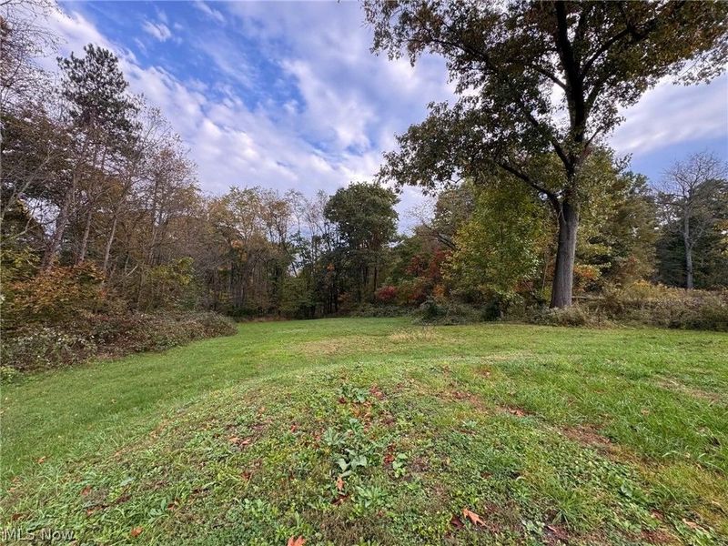 9237 State Route 43, Bloomingdale, OH 43910 Photo 21