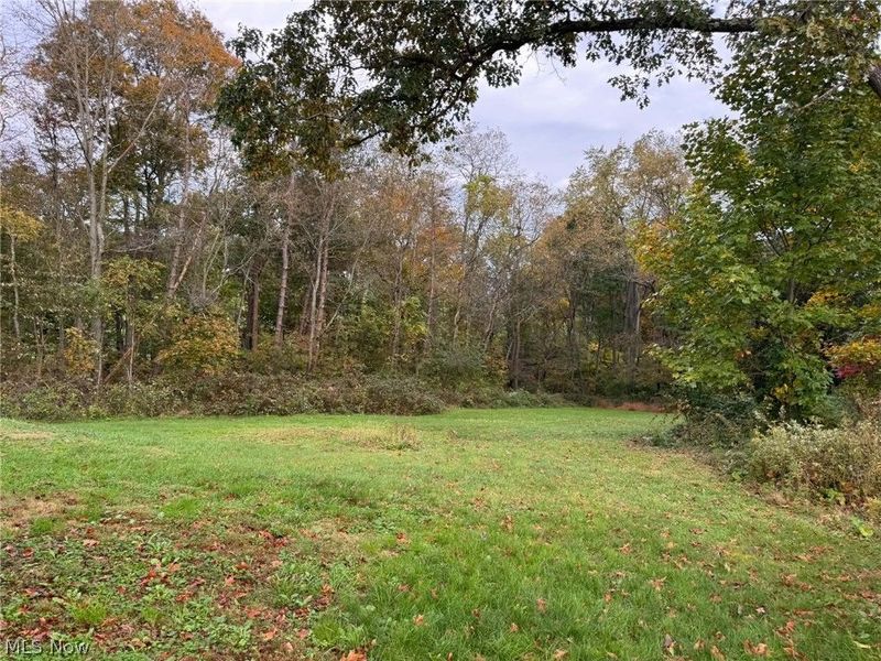 9237 State Route 43, Bloomingdale, OH 43910 Photo 22
